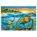 Puzzle Tortugas marinas 500 Educa