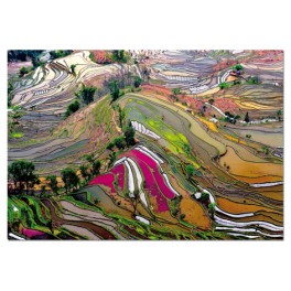 Puzzle Campos de arroz china 1000 Educa